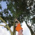 IMG_1281652