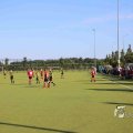 IMGP_1282333