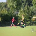 IMGP_1282441