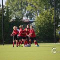 IMGP_1282498
