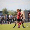 IMGP_1282600