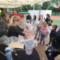 IMG_1282731