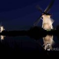 IMG_1284184
