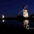IMG_1284185