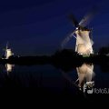IMG_1284188
