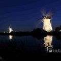 IMG_1284195