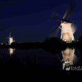 IMG_1284196
