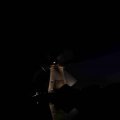 IMG_1284206
