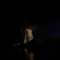 IMG_1284212