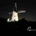 IMG_1284303