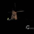 IMG_1284307