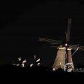 IMG_1284319