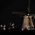 IMG_1284321