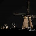 IMG_1284323