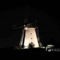 IMG_1284335
