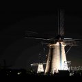 IMG_1284350