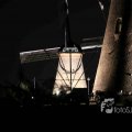 IMG_1284351