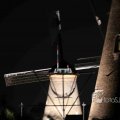 IMG_1284352