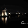IMG_1284354
