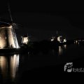 IMG_1284356