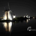 IMG_1284358