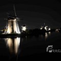 IMG_1284359