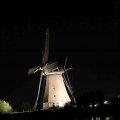 IMG_1284382