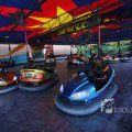 IMG_1284579