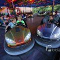 IMG_1284584