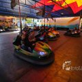 IMG_1284586