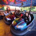 IMG_1284596