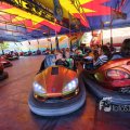 IMG_1284598
