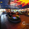 IMG_1284603