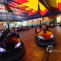 IMG_1284611