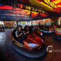 IMG_1284614