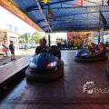 IMG_1284729