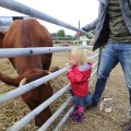 IMG_1285455