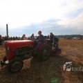 IMG_1285488
