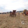 IMG_1285495