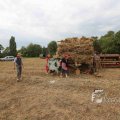 IMG_1285496