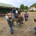 IMG_1285501