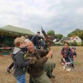 IMG_1285504
