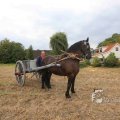IMG_1285512