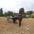 IMG_1285513