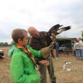 IMG_1285516
