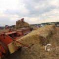 IMG_1285552