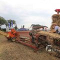 IMG_1285558