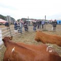 IMG_1285563