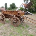 IMG_1286350