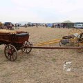IMG_1286352